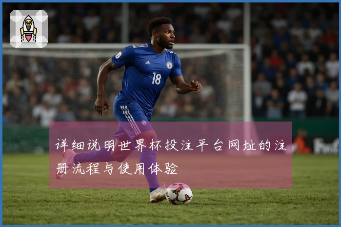 详细说明世界杯投注平台网址的注册流程与使用体验