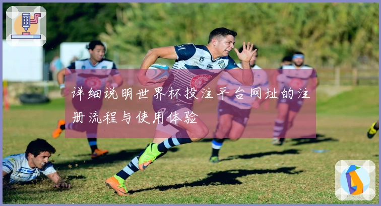详细说明世界杯投注平台网址的注册流程与使用体验